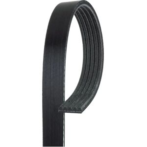 GATES Poly-V hihna 875mm - Lisälaitehihna GATES Poly-V hihna 875mm - Lisälaitehihna
