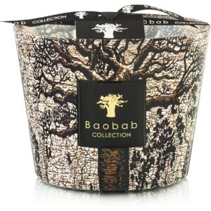 Baobab Sacred Trees Morondo - Madera, Gourmet, Larga Duración - Vela Perfumada Baobab Sacred Trees Morondo - Madera, Gourmet, Larga Duración - Vela Perfumada