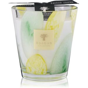 Baobab Collection Max 16Rss - Multicolour Candle Baobab Collection Max 16Rss - Multicolour Candle
