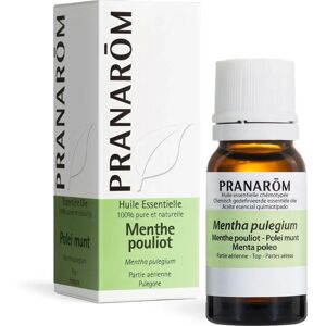 Pranarom Mentha Pennyroyal Essential Oil - 10ml Pranarom Mentha Pennyroyal Essential Oil - 10ml