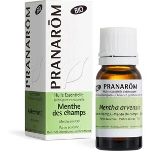 Pranarôm Organic Mentha arvensis Essential Oil - 10ml Pranarôm Organic Mentha arvensis Essential Oil - 10ml