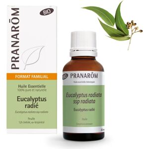 Huile Essentielle Bio d'Eucalyptus Radié - Voies Respiratoires & Immunité Huile Essentielle Bio d'Eucalyptus Radié - Voies Respiratoires & Immunité