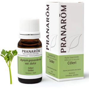 Pranarom Celery Essential Oil - 10ml Pranarom Celery Essential Oil - 10ml
