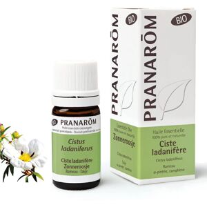 Pranarôm Cistus Ladaniferus Essential Oil 5ml - Essential Oil Pranarôm Cistus Ladaniferus Essential Oil 5ml - Essential Oil