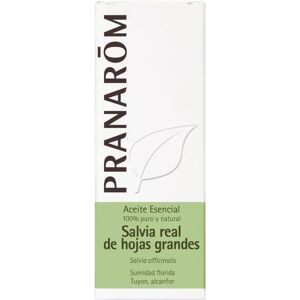 Pranarom Big Leaf Royal Sage Essential Oil - Essential Oil Pranarom Big Leaf Royal Sage Essential Oil - Essential Oil