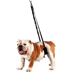 Show Tech Comfort Dog Belly Strap - Dog Harness for Grooming Show Tech Comfort Dog Belly Strap - Dog Harness for Grooming