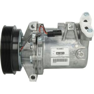 Compresor de aire acondicionado TEAMEC 8613073 - Renovado Compresor de aire acondicionado TEAMEC 8613073 - Renovado
