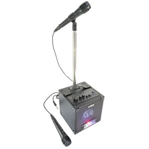 Système Karaoke Party avec 2 Microphones & Effets LED - Publicité Système Karaoke Party avec 2 Microphones & Effets LED - Publicité