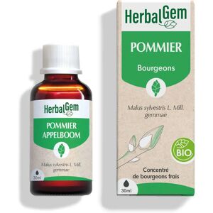 Herbalgem Biologisch Appelknoppenconcentraat Herbalgem Biologisch Appelknoppenconcentraat