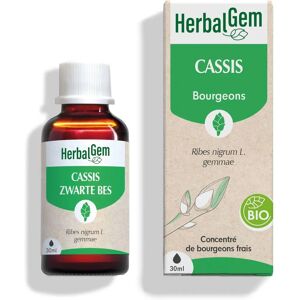 HerbalGem Extrait de Bourgeons de Cassis Bio - Soutien à la Santé - 30ml - Publicité HerbalGem Extrait de Bourgeons de Cassis Bio - Soutien à la Santé - 30ml - Publicité