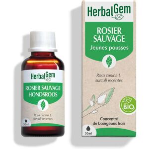 HERBALGEM Rose Sauvage Bio - Complément Alimentaire 30ml Extrait Concentré - Soutient l'Immunité - Publicité HERBALGEM Rose Sauvage Bio - Complément Alimentaire 30ml Extrait Concentré - Soutient l'Immunité - Publicité