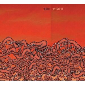 Knut Wonder - 1 CD-album - Konspiration Knut Wonder - 1 CD-album - Konspiration
