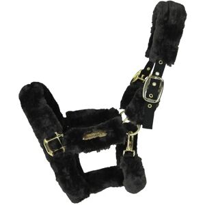 Kentucky Horsewear Transporthalfter Lammfell Nylonhalfter - Halter - Publicité Kentucky Horsewear Transporthalfter Lammfell Nylonhalfter - Halter - Publicité
