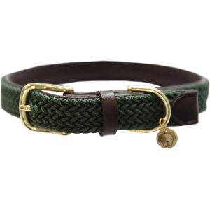 Collier pour chien en nylon vert olive Kentucky Dogwear – Élégant et Résistant - Publicité Collier pour chien en nylon vert olive Kentucky Dogwear – Élégant et Résistant - Publicité