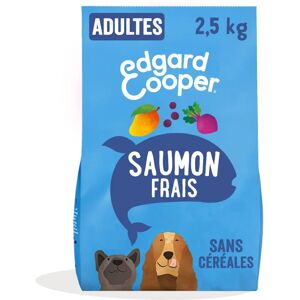 Merk Model - Glazen gloeilamp - 400ml Merk Model - Glazen gloeilamp - 400ml