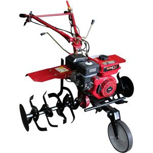 Bricoferr Modelo - Transmisión engranajes 7hp Motoazada - Rototiller Bricoferr Modelo - Transmisión engranajes 7hp Motoazada - Rototiller
