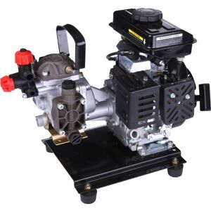 Bricoferr 80CC 2,5hp Benzine Generator - Power Equipment Bricoferr 80CC 2,5hp Benzine Generator - Power Equipment