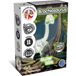 Kit de excavación de fósiles de dinosaurios SCIENCE4YOU - Brachiosaurus - Mundo Jurásico Kit de excavación de fósiles de dinosaurios SCIENCE4YOU - Brachiosaurus - Mundo Jurásico