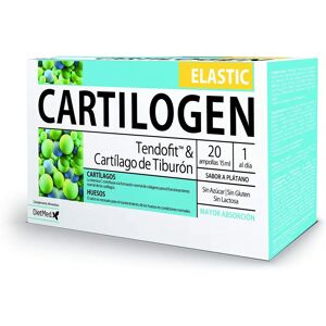 Dietmed Elastic 20 ampoules of 15ml - Dietary Supplement Dietmed Elastic 20 ampoules of 15ml - Dietary Supplement