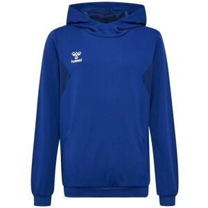 Hummel Luvtröja Authentic Pl 14 Years Pojke - Hoodie Hummel Luvtröja Authentic Pl 14 Years Pojke - Hoodie