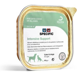Dechra Marque Modèle - Nourriture Humide Support Intensive - Pour Récupération - Publicité Dechra Marque Modèle - Nourriture Humide Support Intensive - Pour Récupération - Publicité