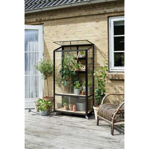 Juliana City Greenhouse - Compact Urban Garden Juliana City Greenhouse - Compact Urban Garden