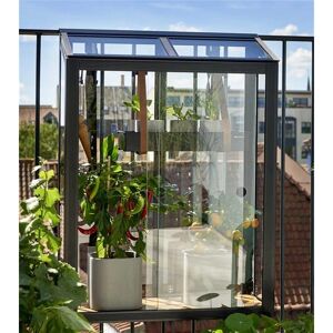 Juliana Urban Balcony Greenhouse - Compact, Safety Glass, Urban Use Juliana Urban Balcony Greenhouse - Compact, Safety Glass, Urban Use