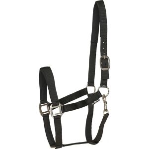 HorseGuard Horse Guard Harnais en nylon - Horse Halter - Publicité HorseGuard Horse Guard Harnais en nylon - Horse Halter - Publicité