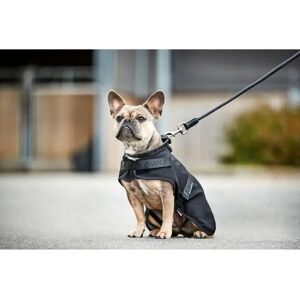 Catago Hybrid Manteau pour chien - Noir - Manteau pour chien - Publicité Catago Hybrid Manteau pour chien - Noir - Manteau pour chien - Publicité
