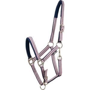 HorseGuard MINI SHETLAND Rose Arc-en-ciel Halter - Publicité HorseGuard MINI SHETLAND Rose Arc-en-ciel Halter - Publicité