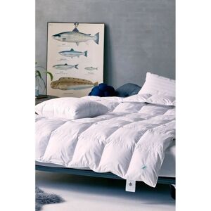 EngmoDun Cecilia Dyne - Hvid - 220x220 - Dyne EngmoDun Cecilia Dyne - Hvid - 220x220 - Dyne