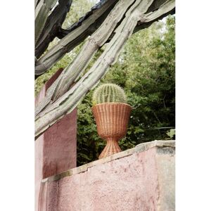 Ferm Living - Support de plantes Agnes - Rotin tissé à la main - Décoration intérieure - Publicité Ferm Living - Support de plantes Agnes - Rotin tissé à la main - Décoration intérieure - Publicité