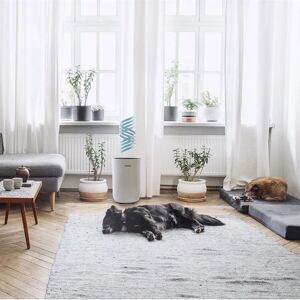 Eeese Emil - Kompakt affugter med tørrefunktion & Stille 40m² Eeese Emil - Kompakt affugter med tørrefunktion & Stille 40m²