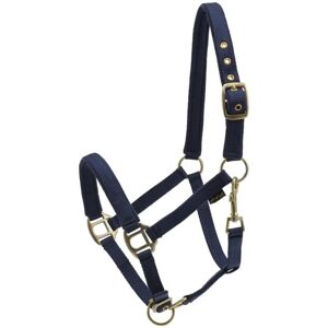 Harnais en nylon rembourré HorseGuard Bleu - Complet - Publicité Harnais en nylon rembourré HorseGuard Bleu - Complet - Publicité
