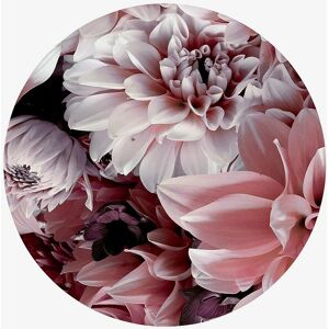 Malerifabrikken Opulent 8 Rosa - Flottende rund MDF-veggkunst - 40x40cm Malerifabrikken Opulent 8 Rosa - Flottende rund MDF-veggkunst - 40x40cm