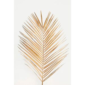 Malerifabrikken Palmleaf Guld Plakat - 50x70cm Malerifabrikken Palmleaf Guld Plakat - 50x70cm