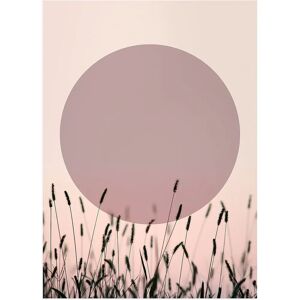 Malerifabrikken Sundown 1 - Lilla - 50X70 - Plakat Malerifabrikken Sundown 1 - Lilla - 50X70 - Plakat
