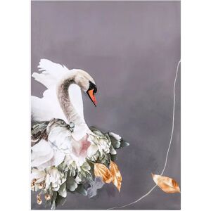 Malerifabrikken Swan Gold 2 Poster - Poster Malerifabrikken Swan Gold 2 Poster - Poster
