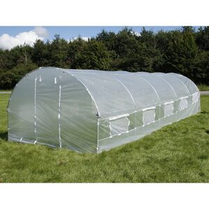 Dancover Polytunnel Greenhouse 4x6.6x2 m - Polytunnel Greenhouse Dancover Polytunnel Greenhouse 4x6.6x2 m - Polytunnel Greenhouse