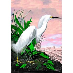The Dybdahl Co. - Affisch Snowy Heron Remixed - Vit - Konsttryck The Dybdahl Co. - Affisch Snowy Heron Remixed - Vit - Konsttryck