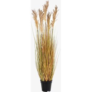 House Nordic Artificial Sudan sorgho - Green - Artificial Plant - Indoor Decor House Nordic Artificial Sudan sorgho - Green - Artificial Plant - Indoor Decor