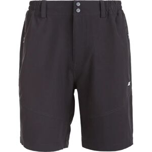 WHISTLER AVIAN M ACTIV STRETCH Shorts - Outdoor Sport WHISTLER AVIAN M ACTIV STRETCH Shorts - Outdoor Sport