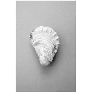 Malerifabrikken Oyster 2 Grå Plakat - 70X100 Malerifabrikken Oyster 2 Grå Plakat - 70X100