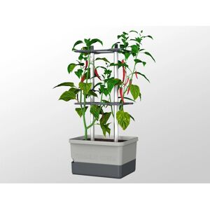 DANCOVER Jardinera Charly Chili - Jardinería urbana, depósito de agua, estaca DANCOVER Jardinera Charly Chili - Jardinería urbana, depósito de agua, estaca