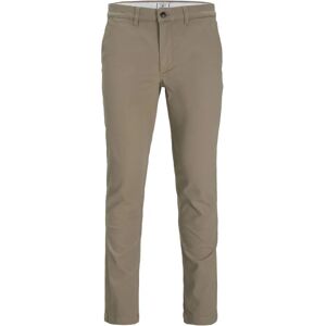 Jack & Jones Kids' Beige Cotton Straight Fit Chinos - Kids' Chinos Jack & Jones Kids' Beige Cotton Straight Fit Chinos - Kids' Chinos