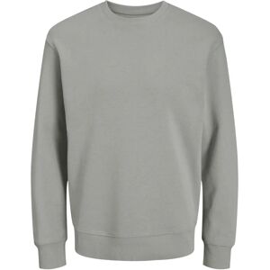 JACK & JONES JJESTAR BASIC SWEAT CREW NECK NOOS - Sweatshirt JACK & JONES JJESTAR BASIC SWEAT CREW NECK NOOS - Sweatshirt