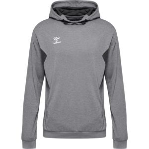 Hummel Hmlauthentic Pl Hoodie Gris - Pullovers - Publicité Hummel Hmlauthentic Pl Hoodie Gris - Pullovers - Publicité