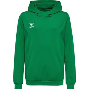 hummel Hmlauthentic Pl Hoodie Kids - Unisex, 164, Teamsport 2024 hummel Hmlauthentic Pl Hoodie Kids - Unisex, 164, Teamsport 2024