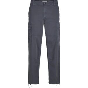 Jack & Jones Karl Harlow Cargo Pants (12252976) - india ink Jack & Jones Karl Harlow Cargo Pants (12252976) - india ink