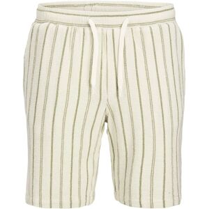 Jack & Jones - Shorts jpstJaiden Coba Stripe Jog Short SR - Grön 2XL - Shorts Jack & Jones - Shorts jpstJaiden Coba Stripe Jog Short SR - Grön 2XL - Shorts